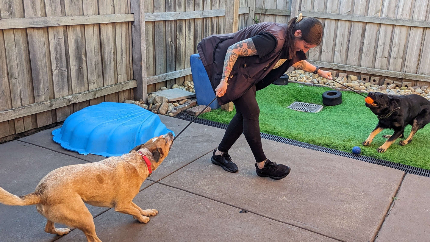 Topnotch Ball - Topnotch K9