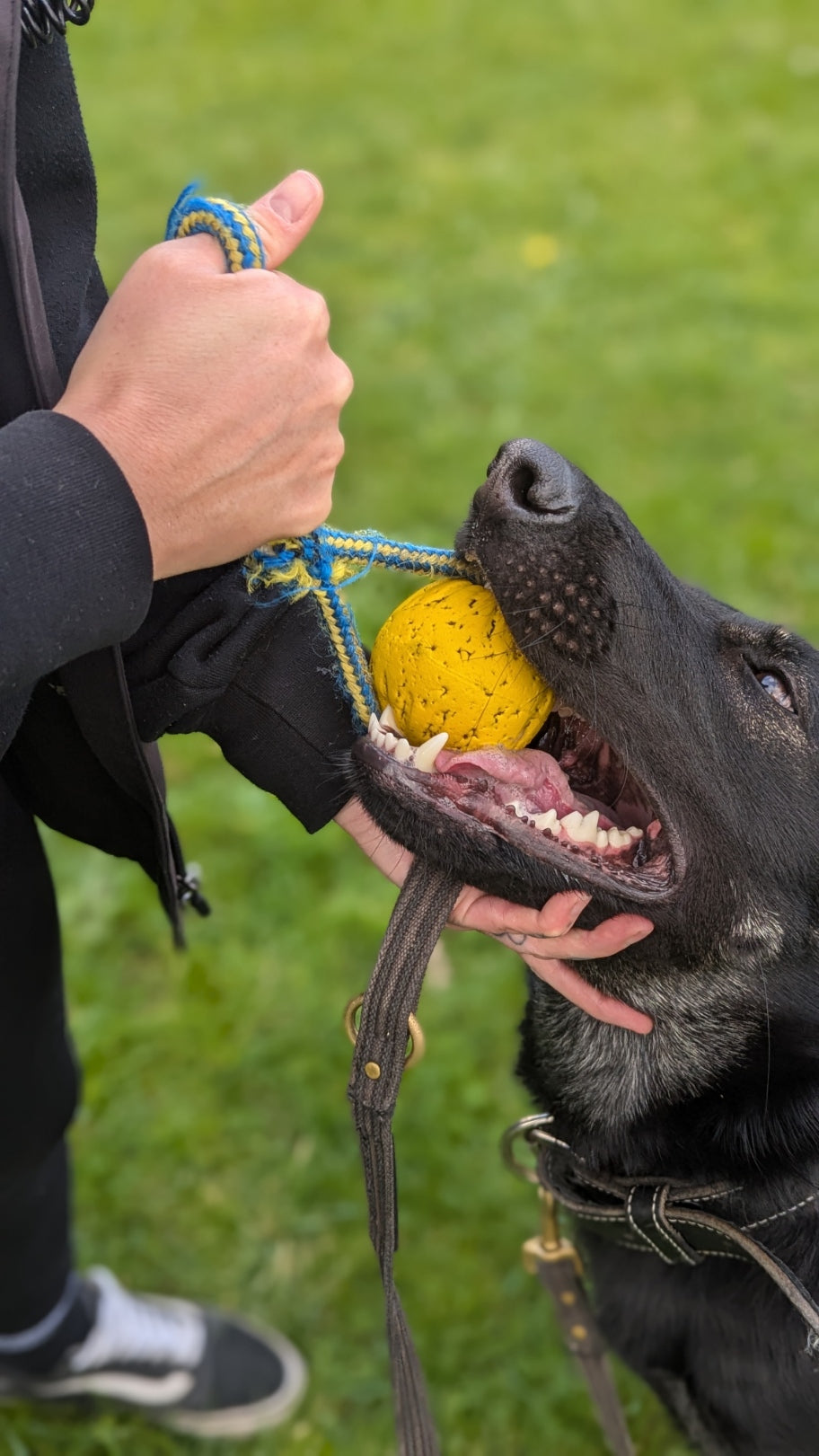 DuraFoam Balls on Ropes - Topnotch K9