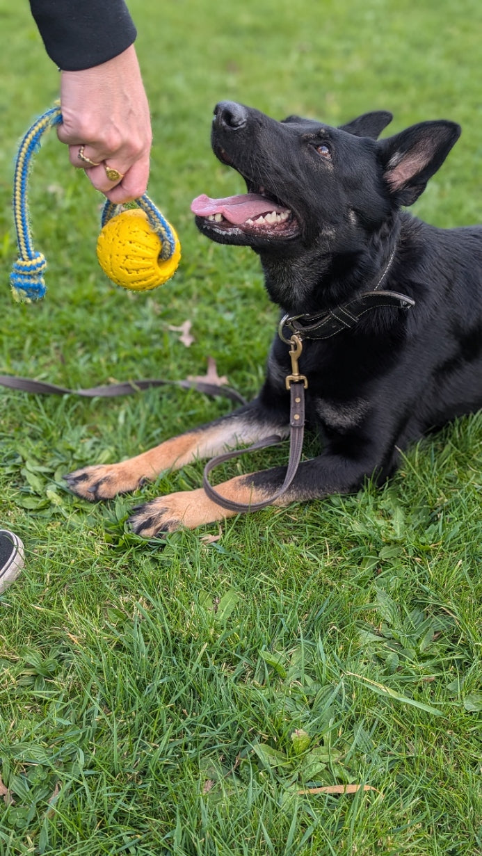 DuraFoam Balls on Ropes - Topnotch K9