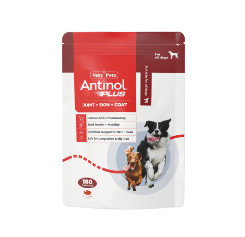 Antinol Plus