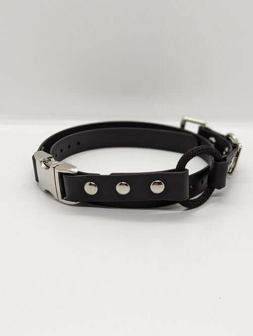 3/4" Quick Snap Collar with Bungee - Topnotch K9