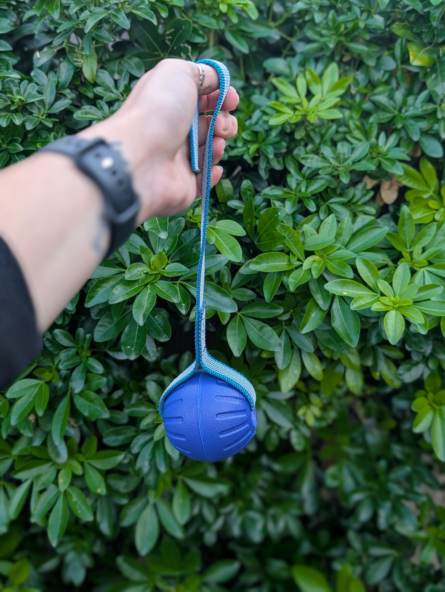 TNK9 Gripper Ball