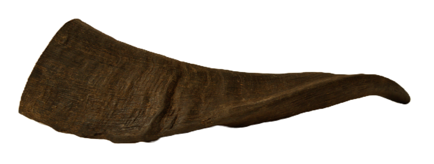 Billy Horns