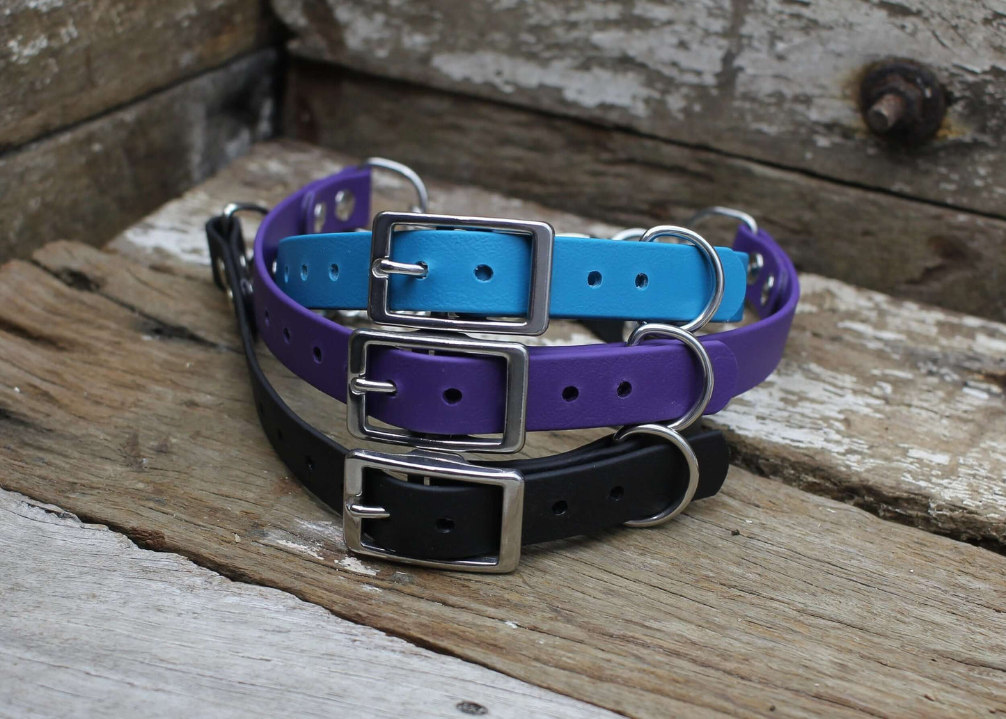 Martingales - Topnotch K9