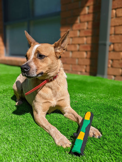 Hollow Rubber Stick - Topnotch K9