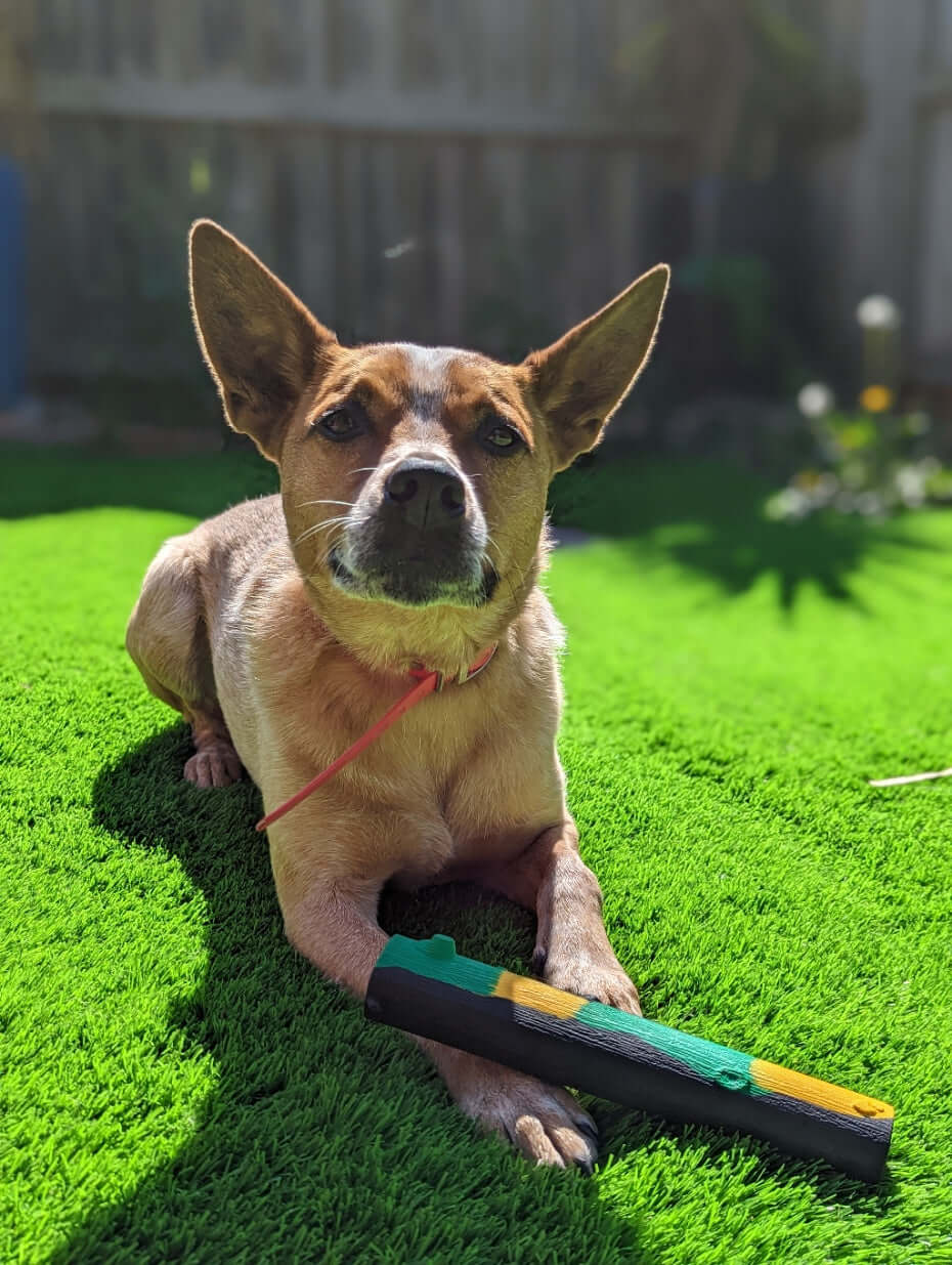 Hollow Rubber Stick - Topnotch K9