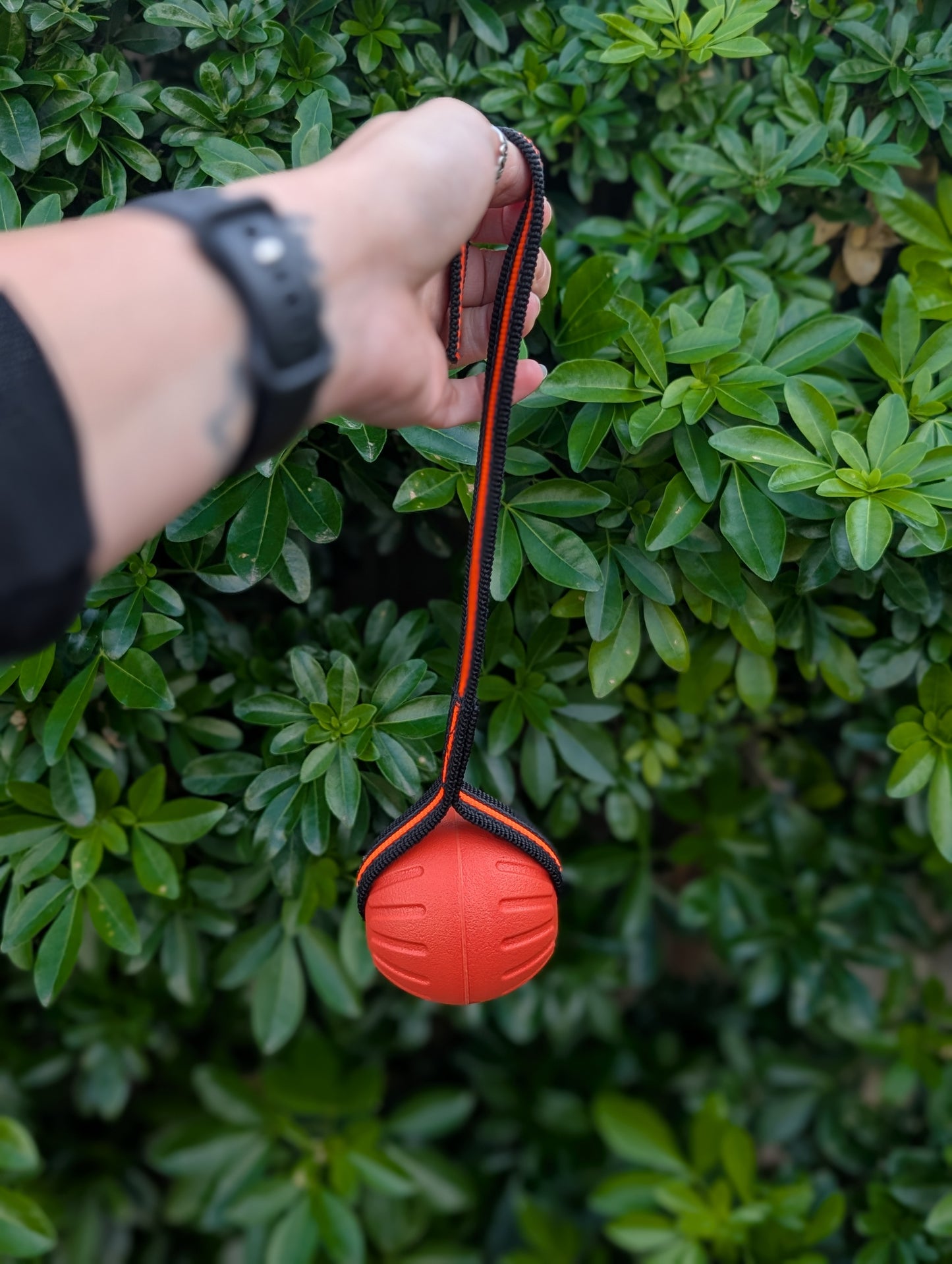TNK9 Gripper Ball